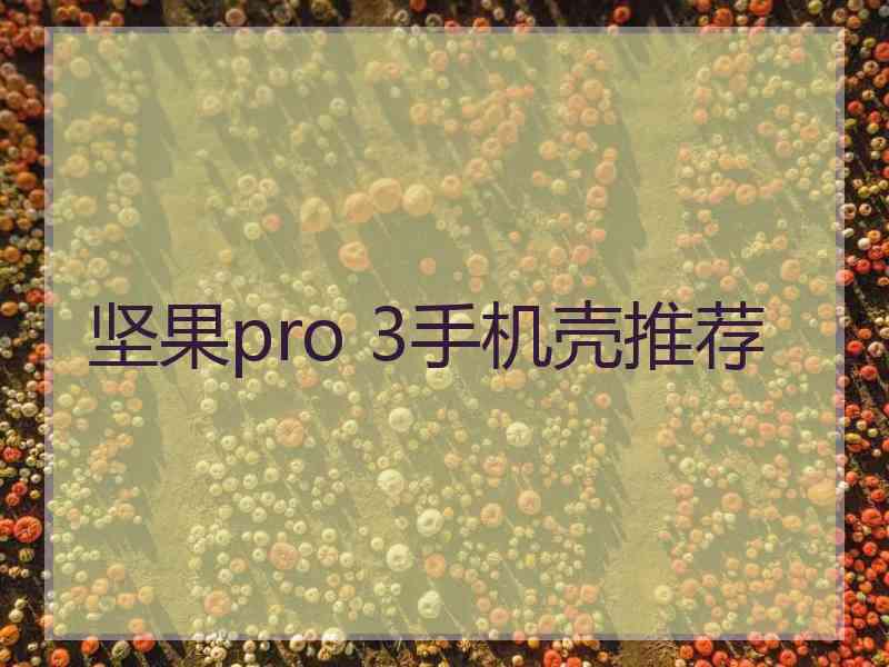 坚果pro 3手机壳推荐