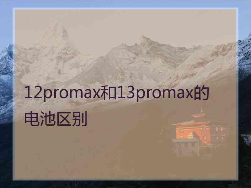 12promax和13promax的电池区别