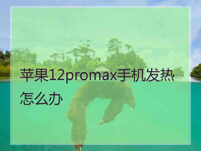 苹果12promax手机发热怎么办