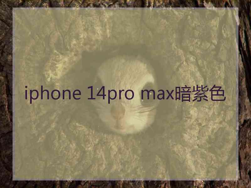 iphone 14pro max暗紫色