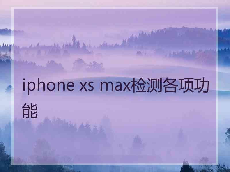 iphone xs max检测各项功能