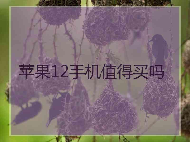 苹果12手机值得买吗