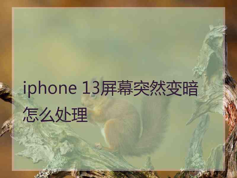 iphone 13屏幕突然变暗怎么处理