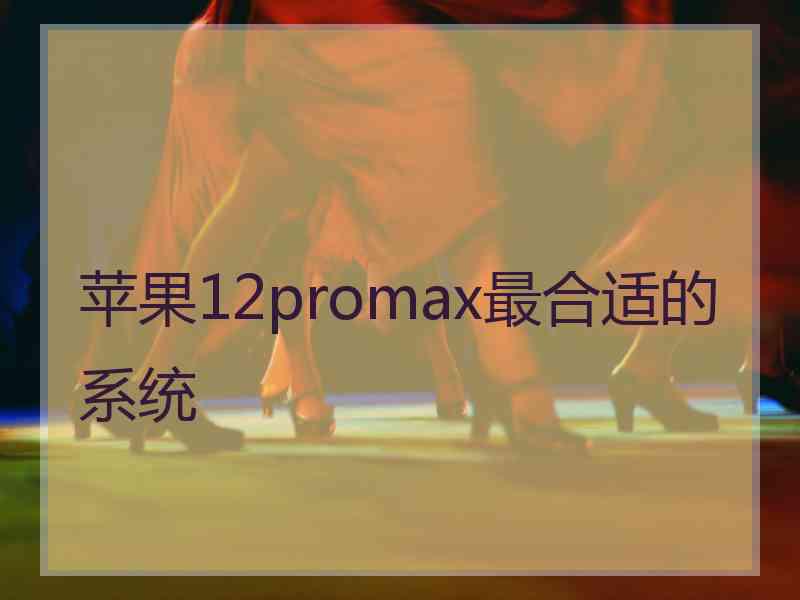 苹果12promax最合适的系统