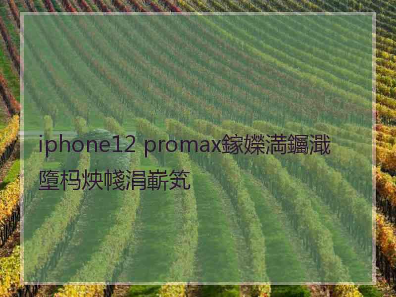 iphone12 promax鎵嬫満钃濈墮杩炴帴涓嶄笂