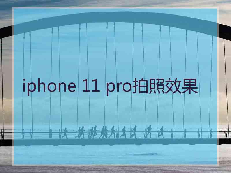 iphone 11 pro拍照效果