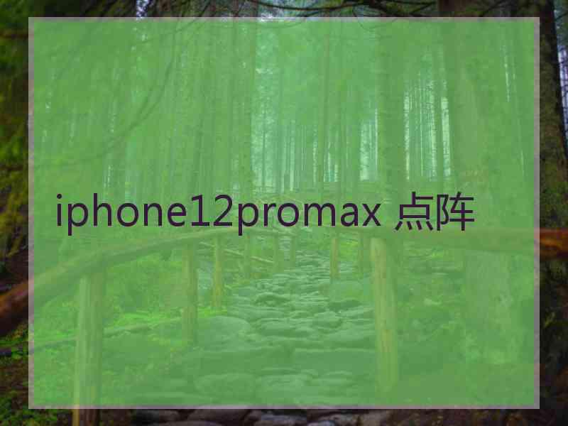 iphone12promax 点阵