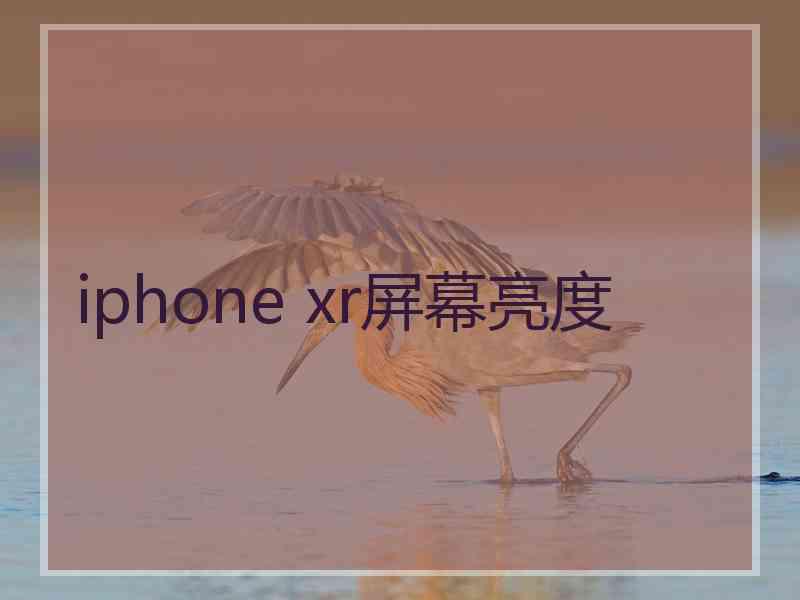 iphone xr屏幕亮度