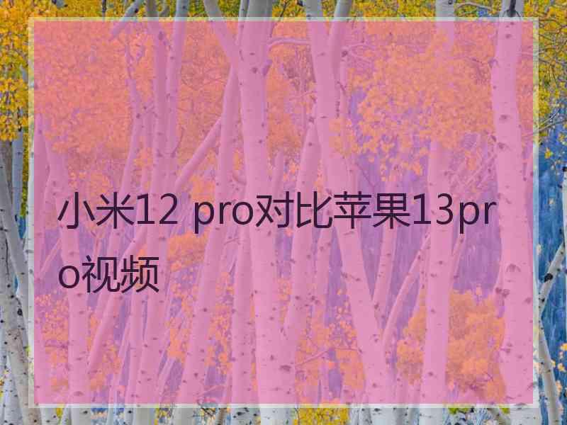 小米12 pro对比苹果13pro视频