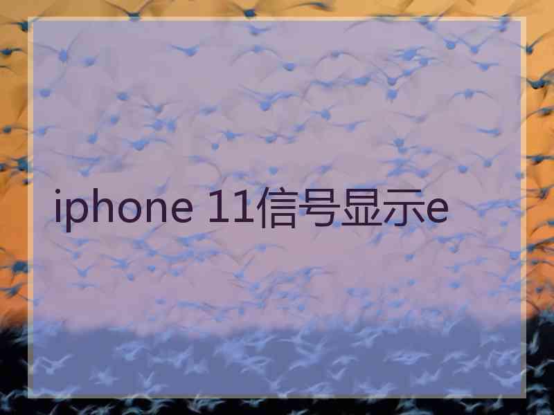 iphone 11信号显示e