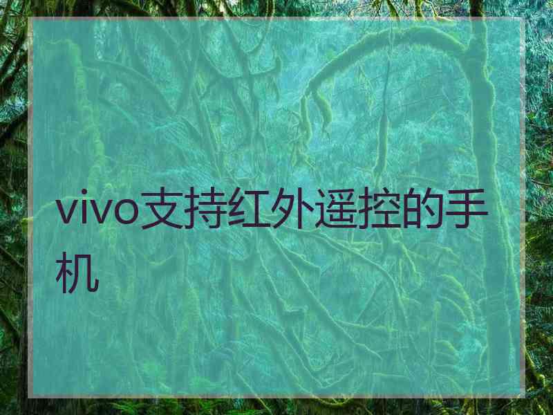 vivo支持红外遥控的手机