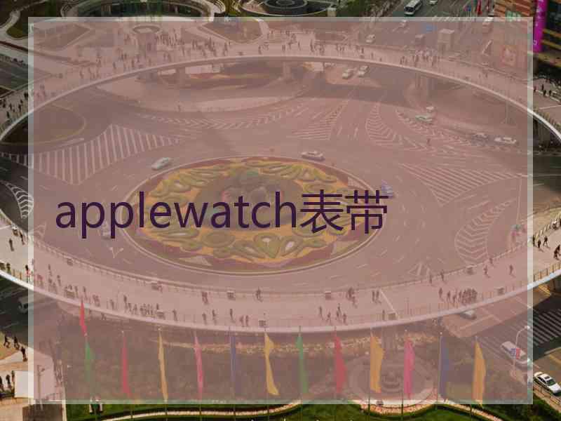 applewatch表带