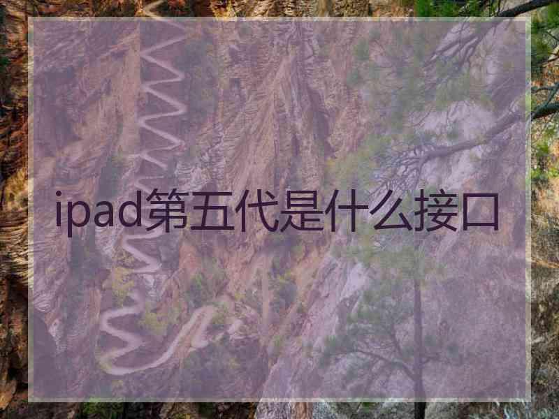 ipad第五代是什么接口