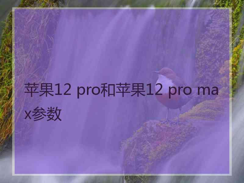 苹果12 pro和苹果12 pro max参数