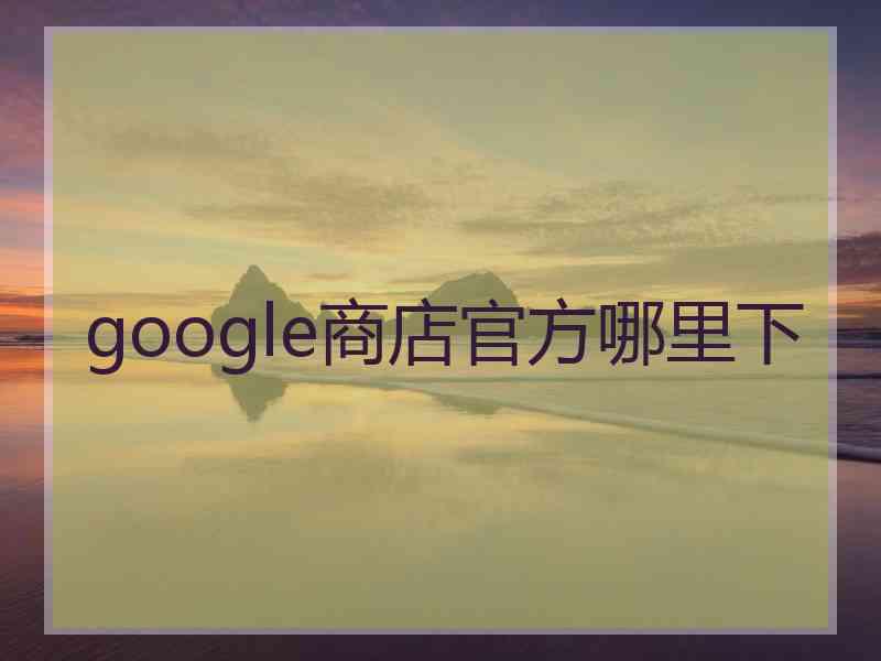 google商店官方哪里下