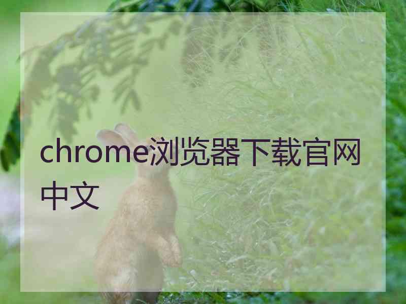 chrome浏览器下载官网中文