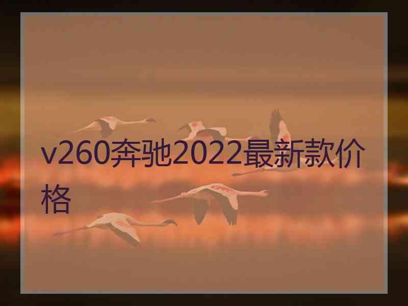 v260奔驰2022最新款价格