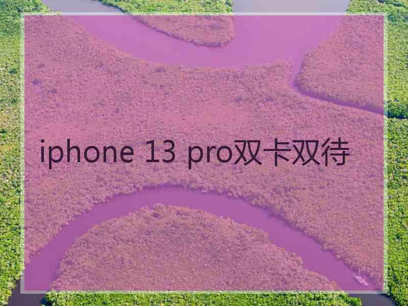 iphone 13 pro双卡双待