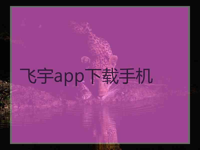 飞宇app下载手机