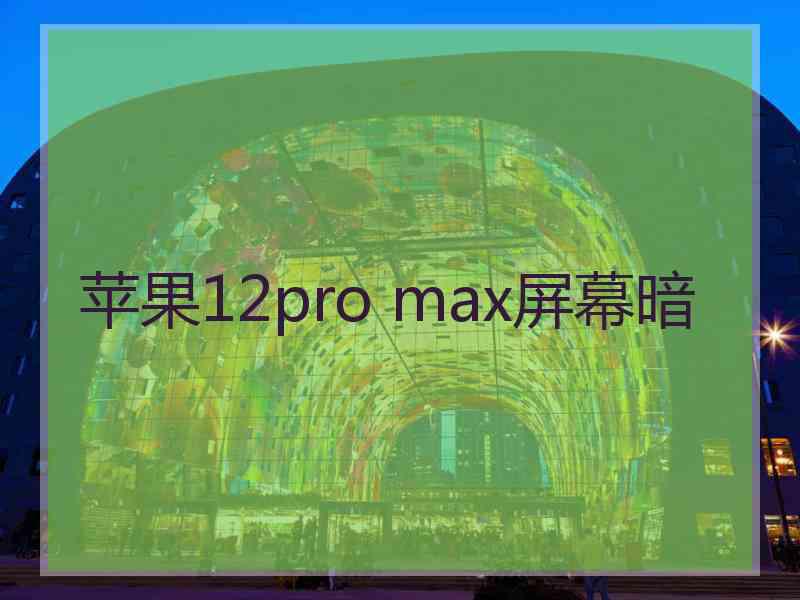 苹果12pro max屏幕暗