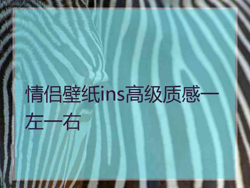 情侣壁纸ins高级质感一左一右