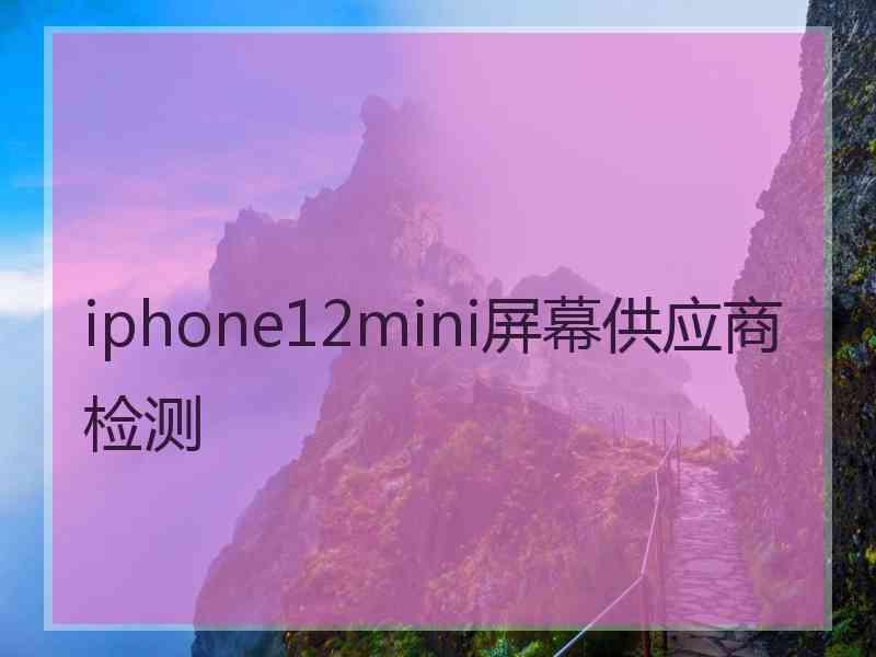 iphone12mini屏幕供应商检测