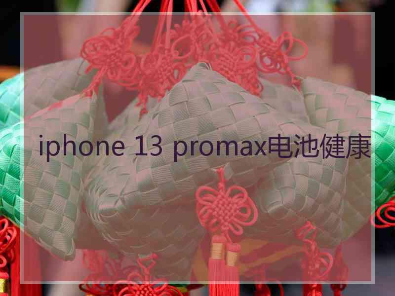 iphone 13 promax电池健康