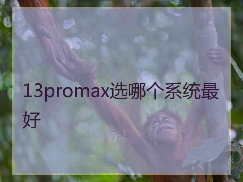 13promax选哪个系统最好