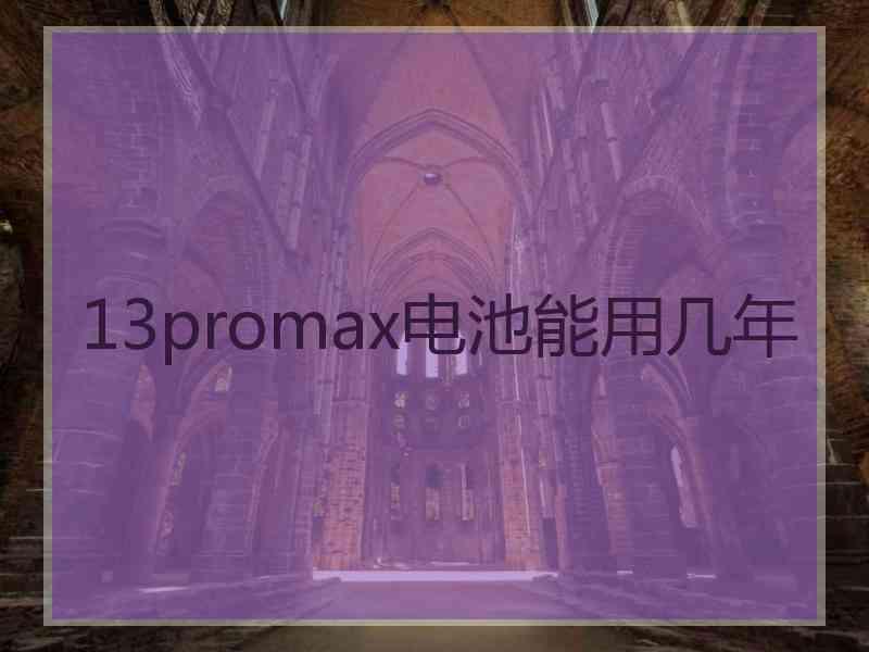 13promax电池能用几年