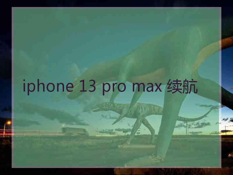 iphone 13 pro max 续航