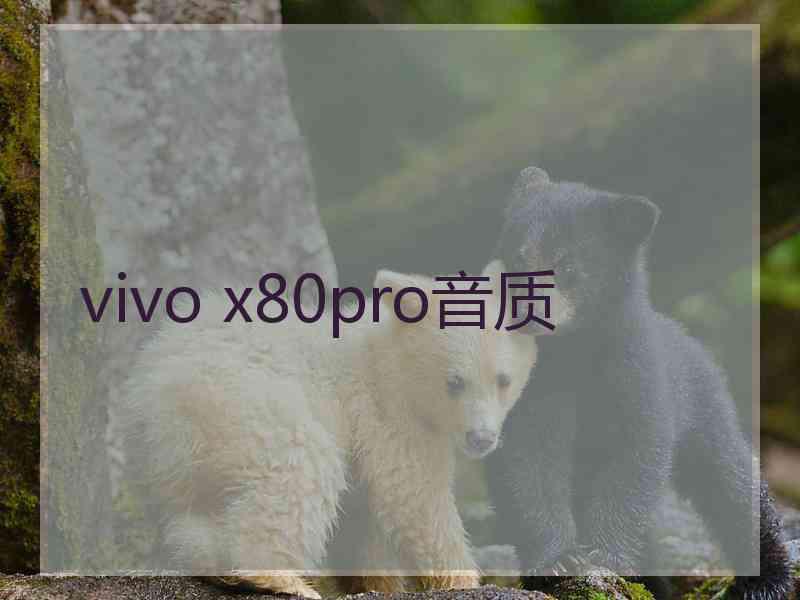 vivo x80pro音质