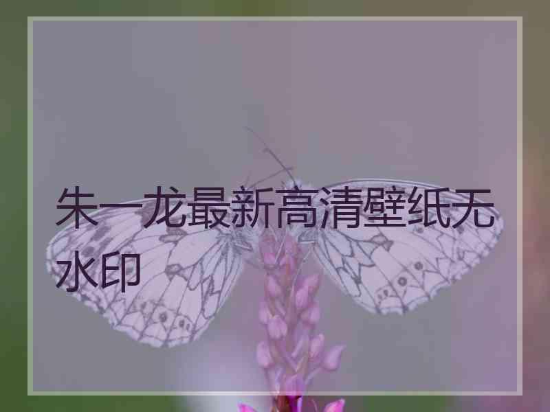 朱一龙最新高清壁纸无水印