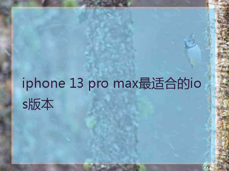 iphone 13 pro max最适合的ios版本