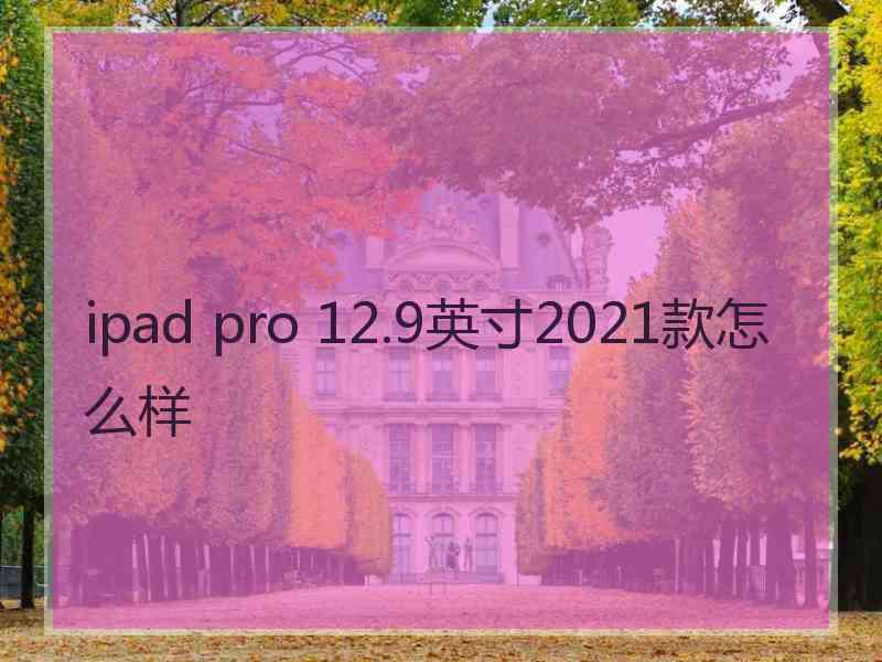 ipad pro 12.9英寸2021款怎么样