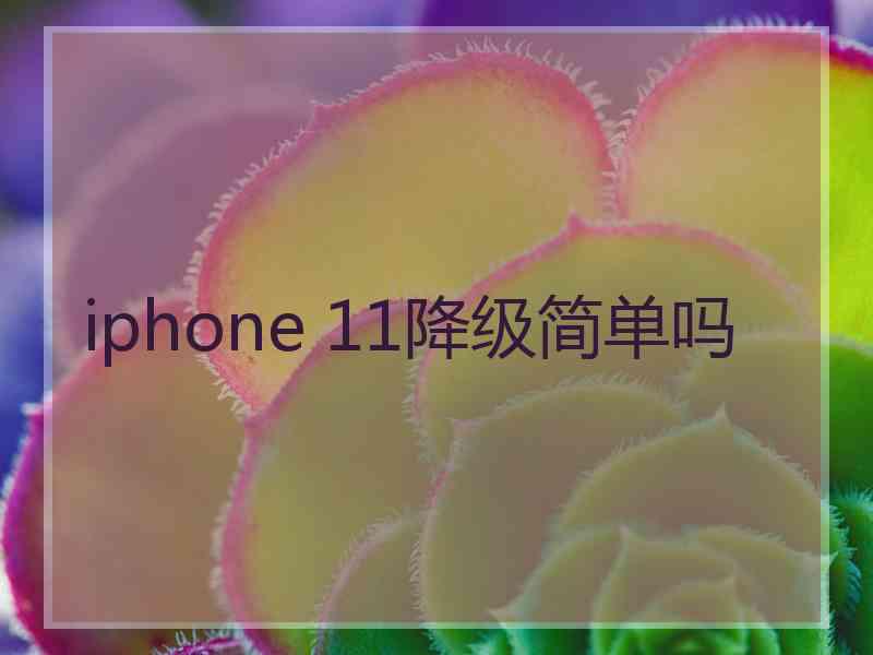 iphone 11降级简单吗