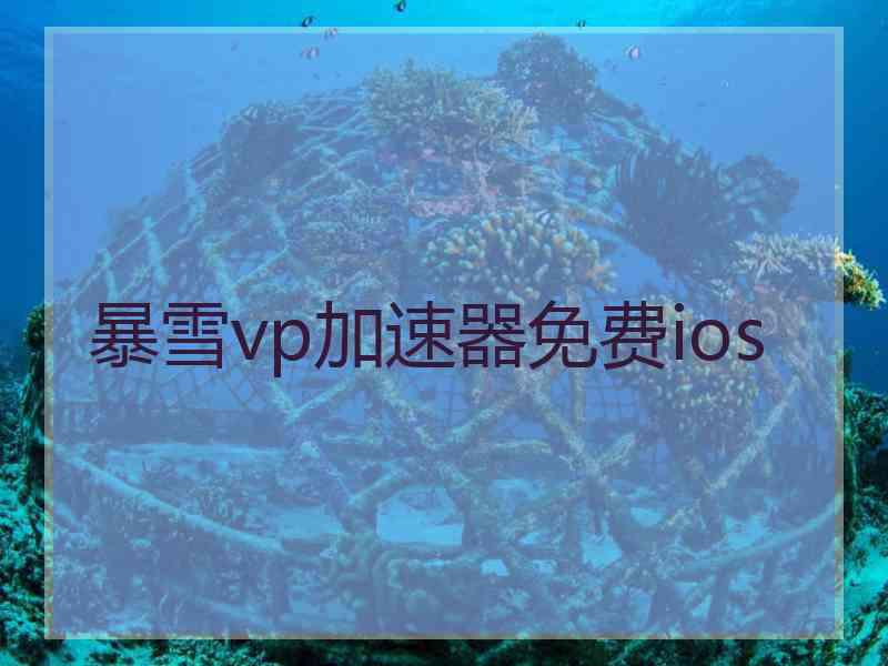 暴雪vp加速器免费ios