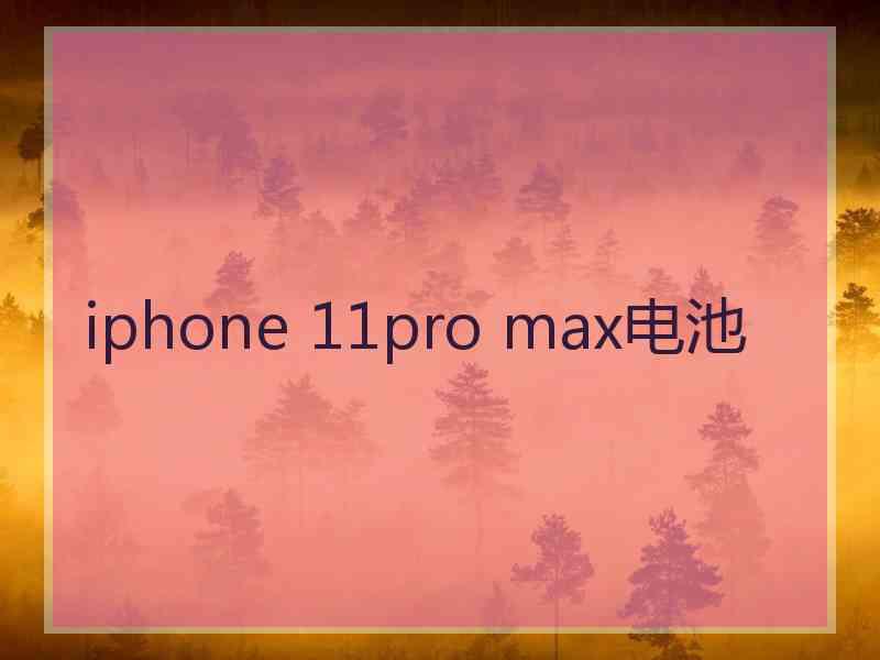 iphone 11pro max电池