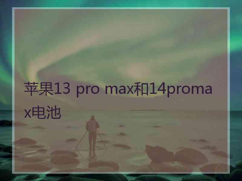 苹果13 pro max和14promax电池