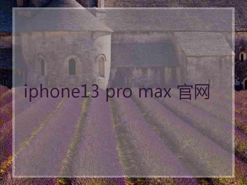 iphone13 pro max 官网