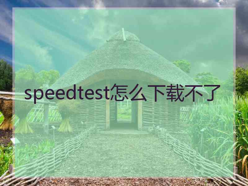 speedtest怎么下载不了