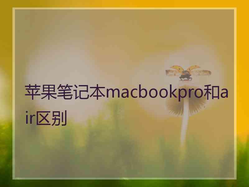 苹果笔记本macbookpro和air区别