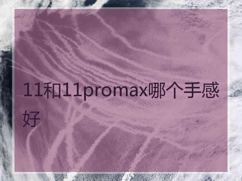 11和11promax哪个手感好