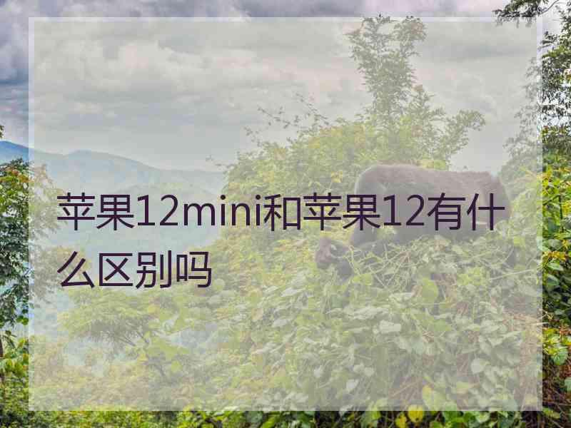 苹果12mini和苹果12有什么区别吗