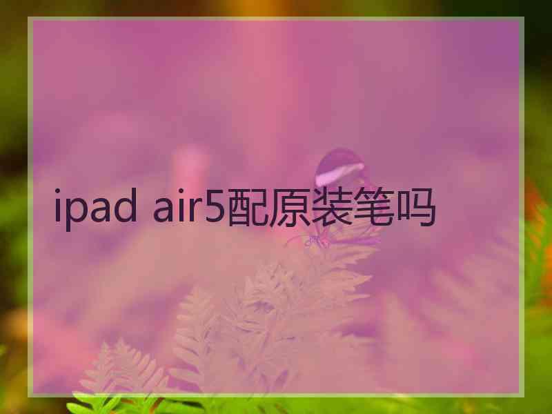 ipad air5配原装笔吗