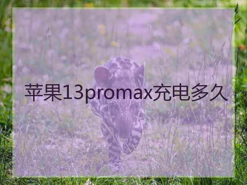 苹果13promax充电多久