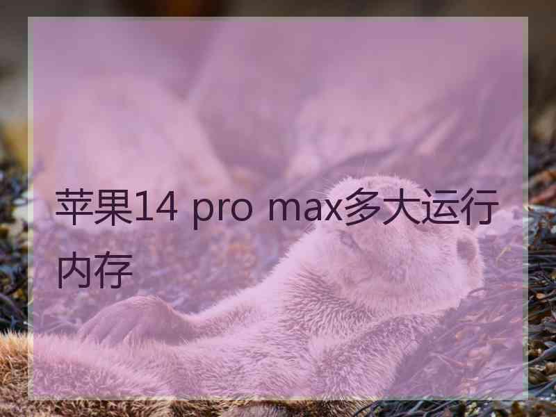 苹果14 pro max多大运行内存