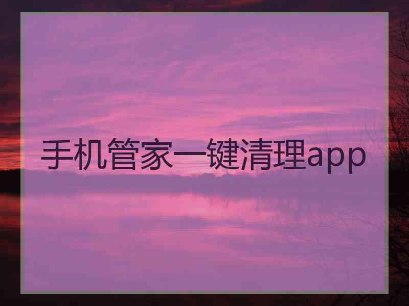 手机管家一键清理app