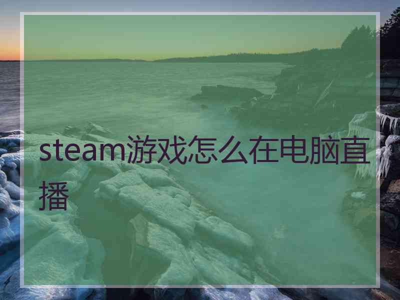 steam游戏怎么在电脑直播