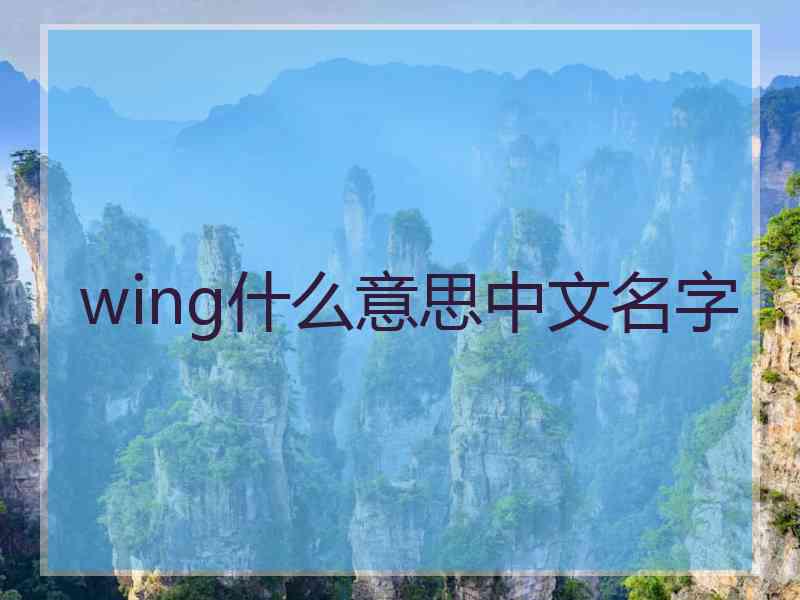 wing什么意思中文名字