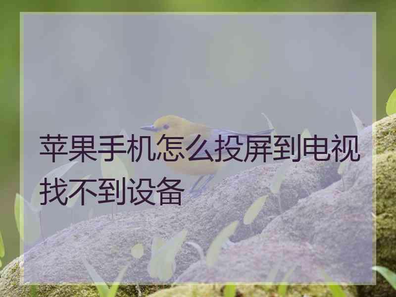 苹果手机怎么投屏到电视找不到设备